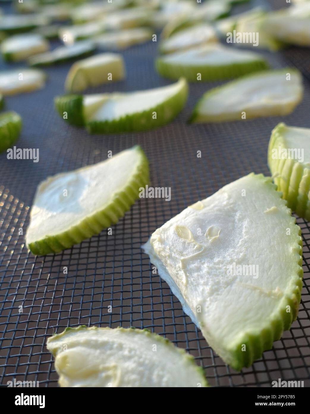 drying zucchini, drying vegetables in the sun, dried zucchini, drying