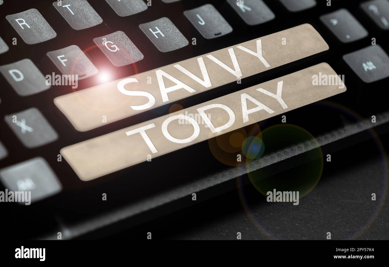 Writing displaying text Savvy. Business overview having perception, comprehension in practical matters Stock Photo
