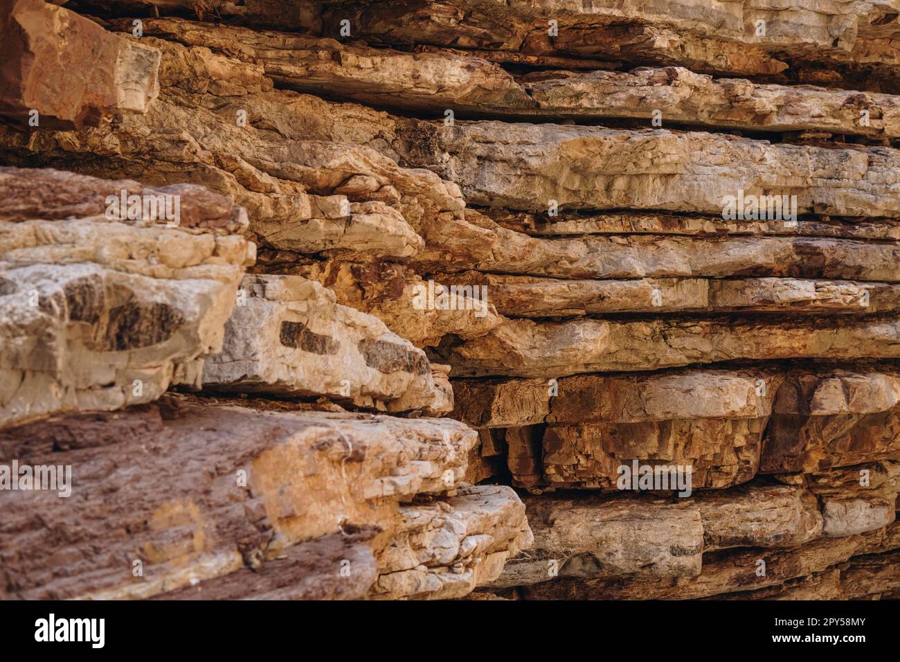 flint inside of limestone rocks in the bottom of Jacob's Canyon Stock ...