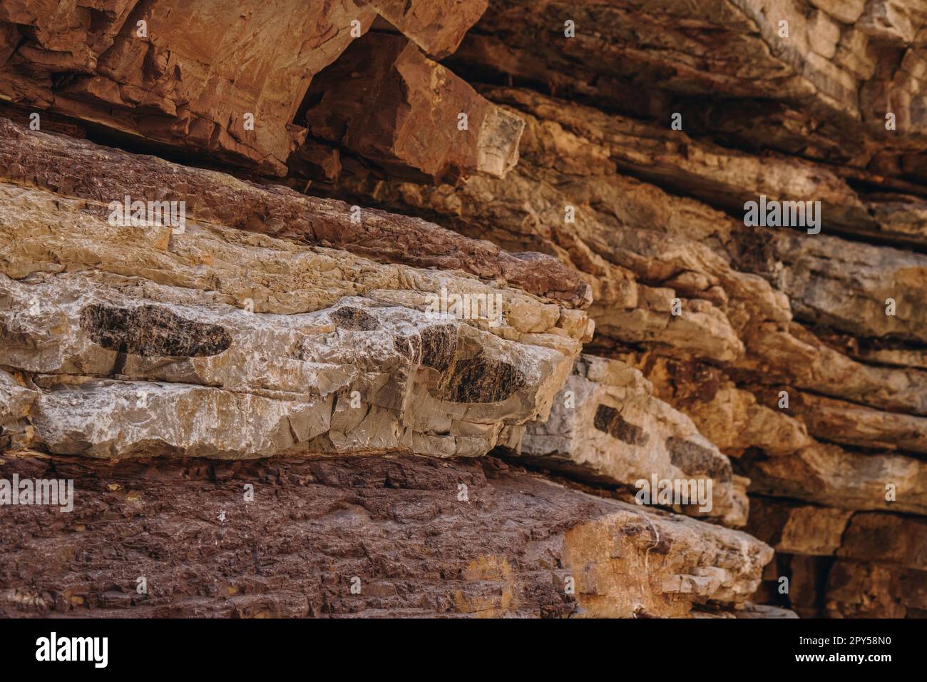 Flint In Limestone Jacobs canyon hi-res stock photography and images - Alamy