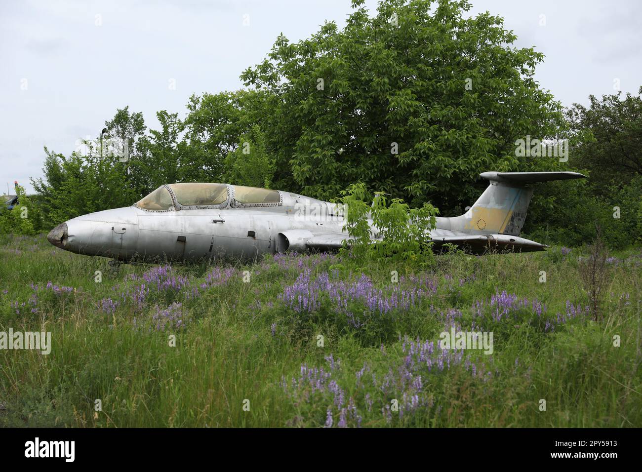 abandoned damaged russian military airplane Aero L-29 Delfine Stock Photo