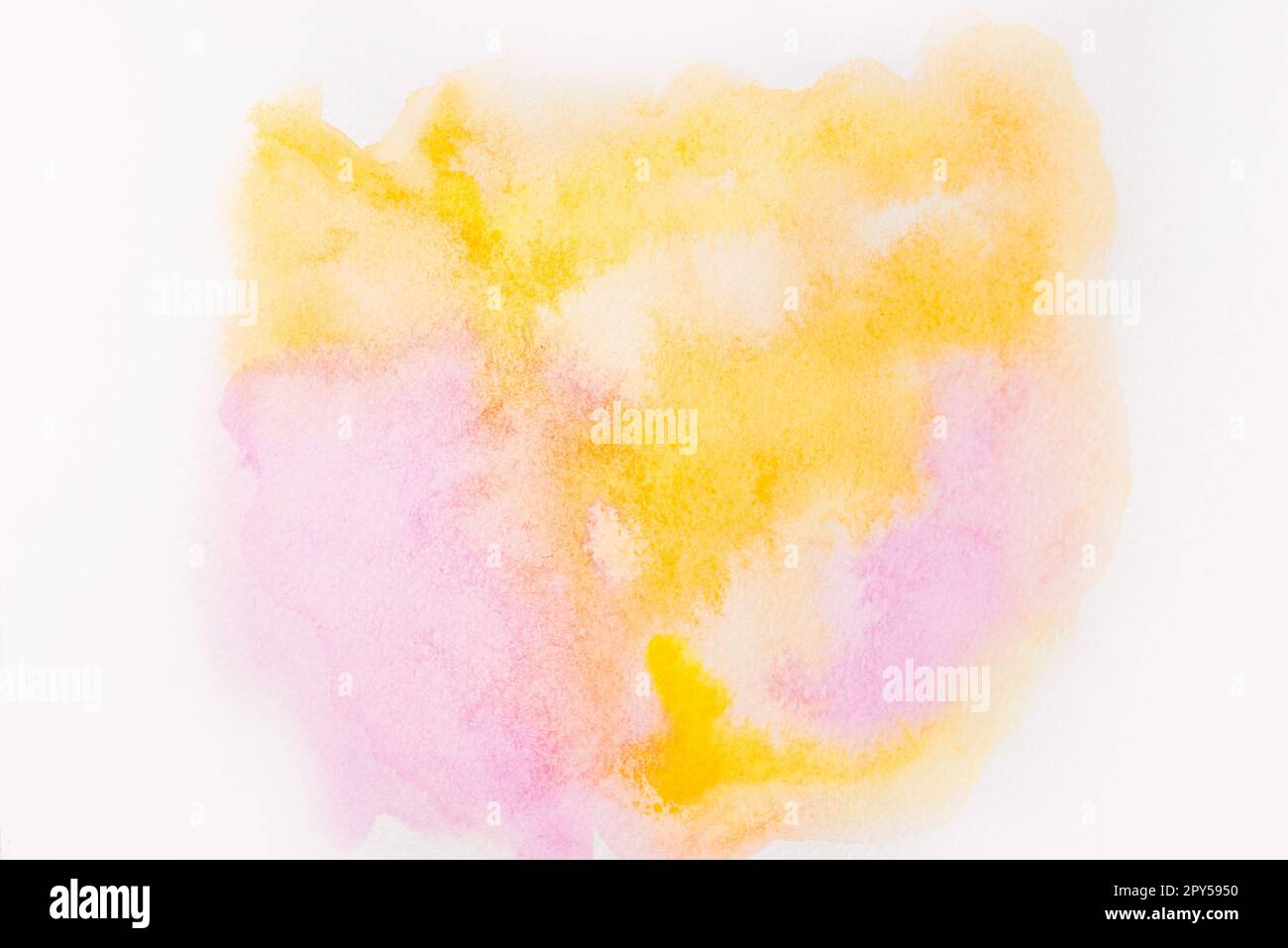 Abstract pink watercolor on white background.The color splashing in the paper.It is a hand drawn. Stock Photo