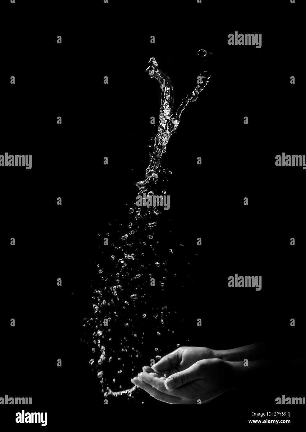 Woman's hands with water splash on black background Stock Photo Alamy