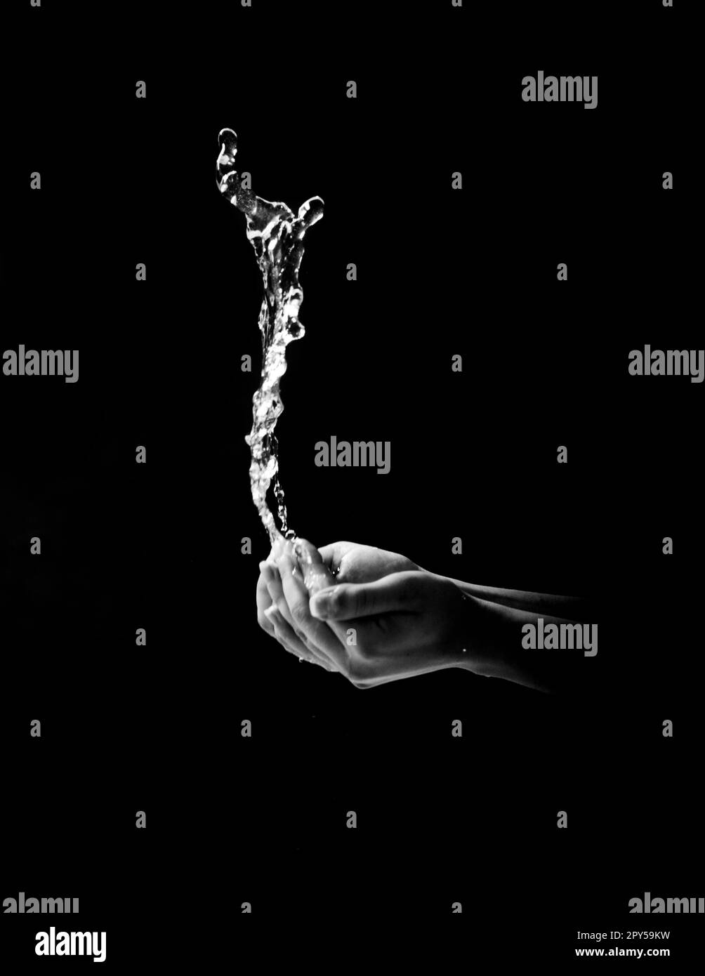 Woman's hands with water splash on black background Stock Photo Alamy