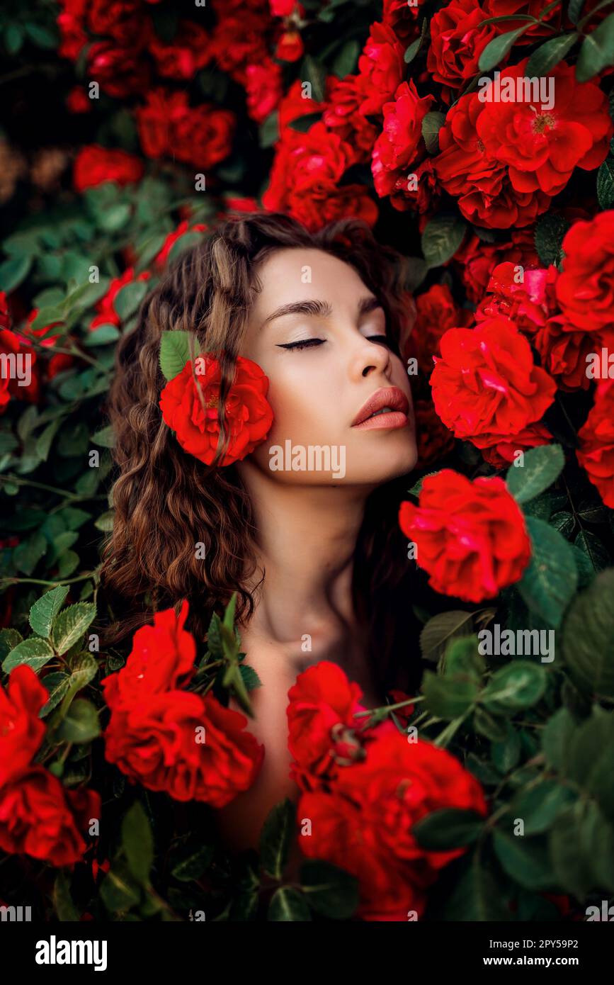 Portrait of a beautiful girl among the bush of the red rose Stock Photo