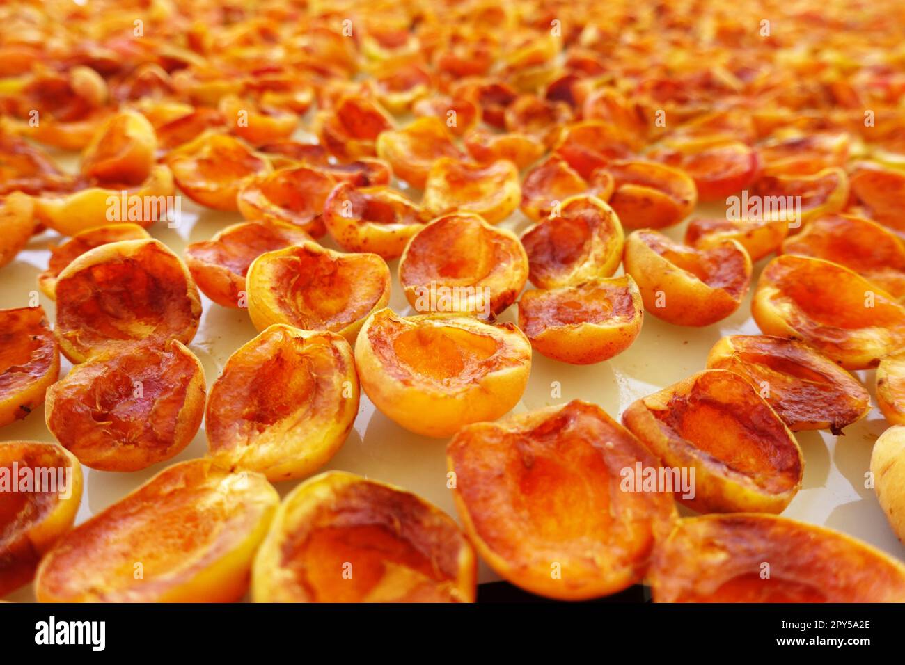homemade apricot drying process, fruit drying process in summer, drying