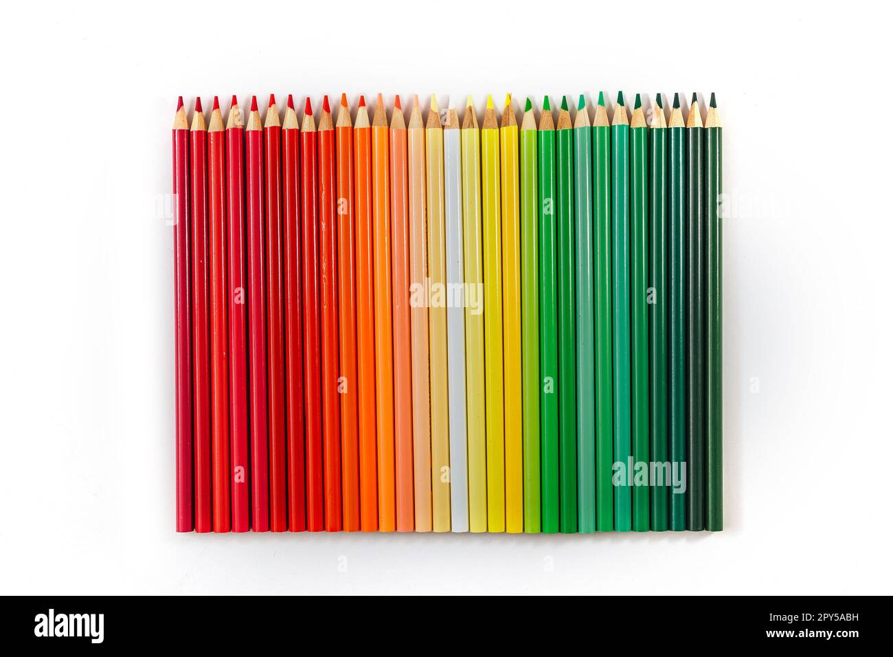 Colored multicolored wooden pencils on a white background. Stock Photo