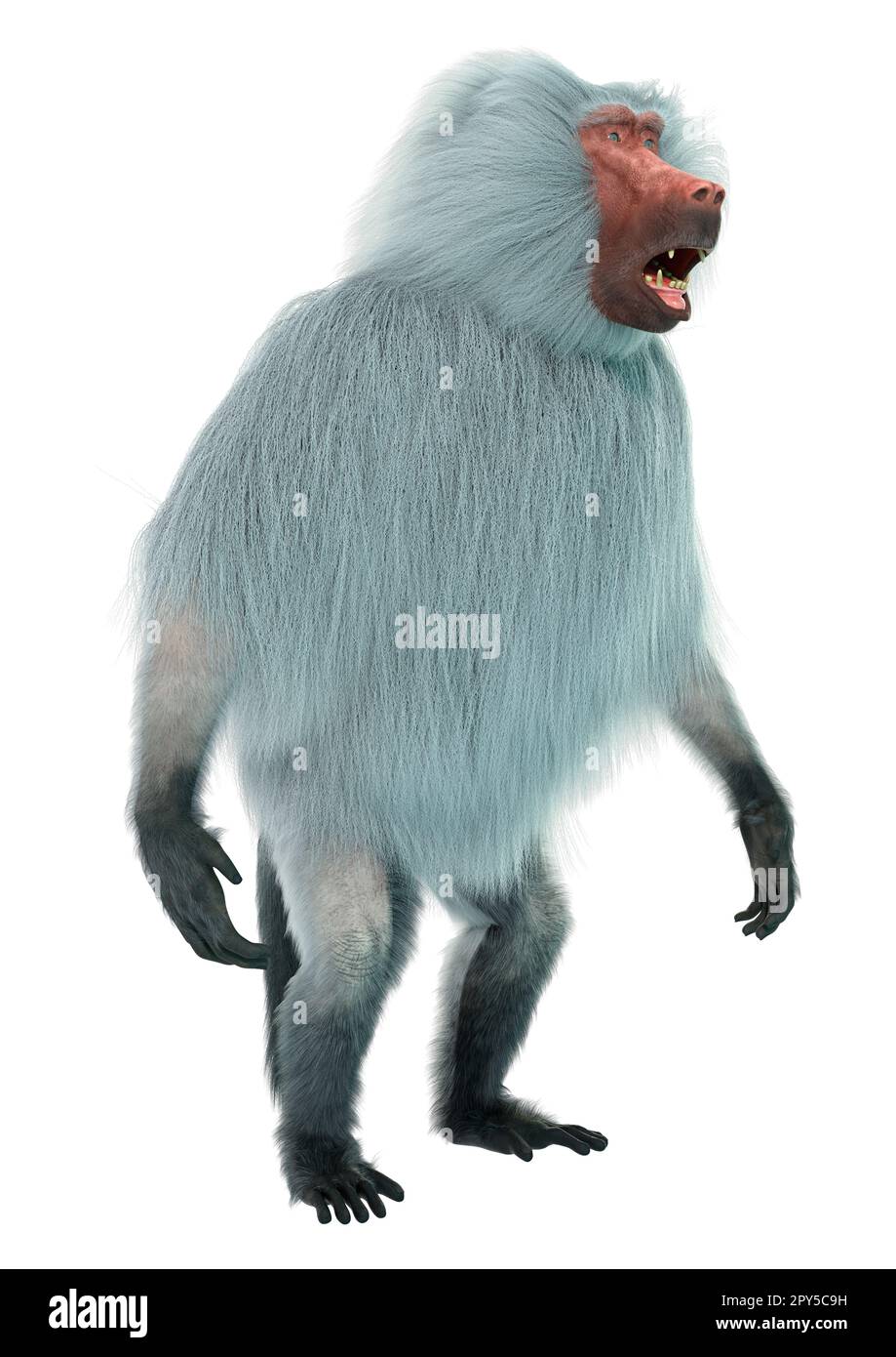 3D rendering of a baboon ape isolated on white background Stock Photo ...