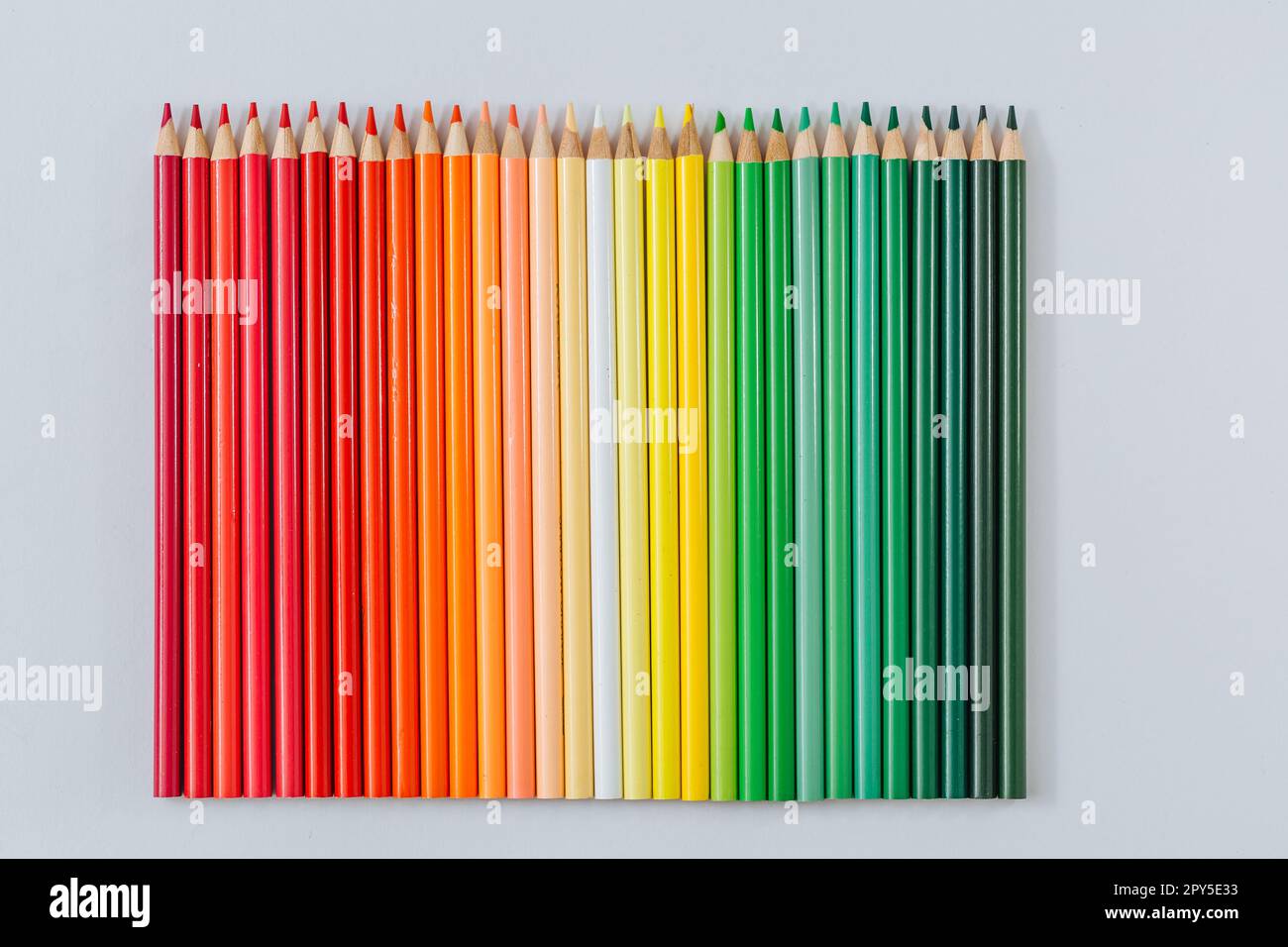 Colored multicolored wooden pencils on a white background. Stock Photo