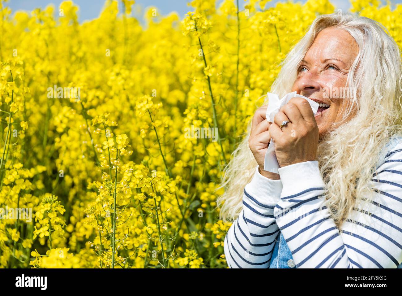 Woman suffers from allergy in a rape field and has to sneeze. Stock Photo