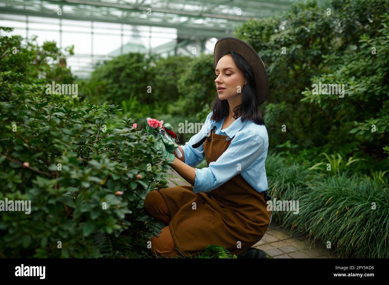 Young woman gardener cutting flower buds working in greenhouse Stock Photo