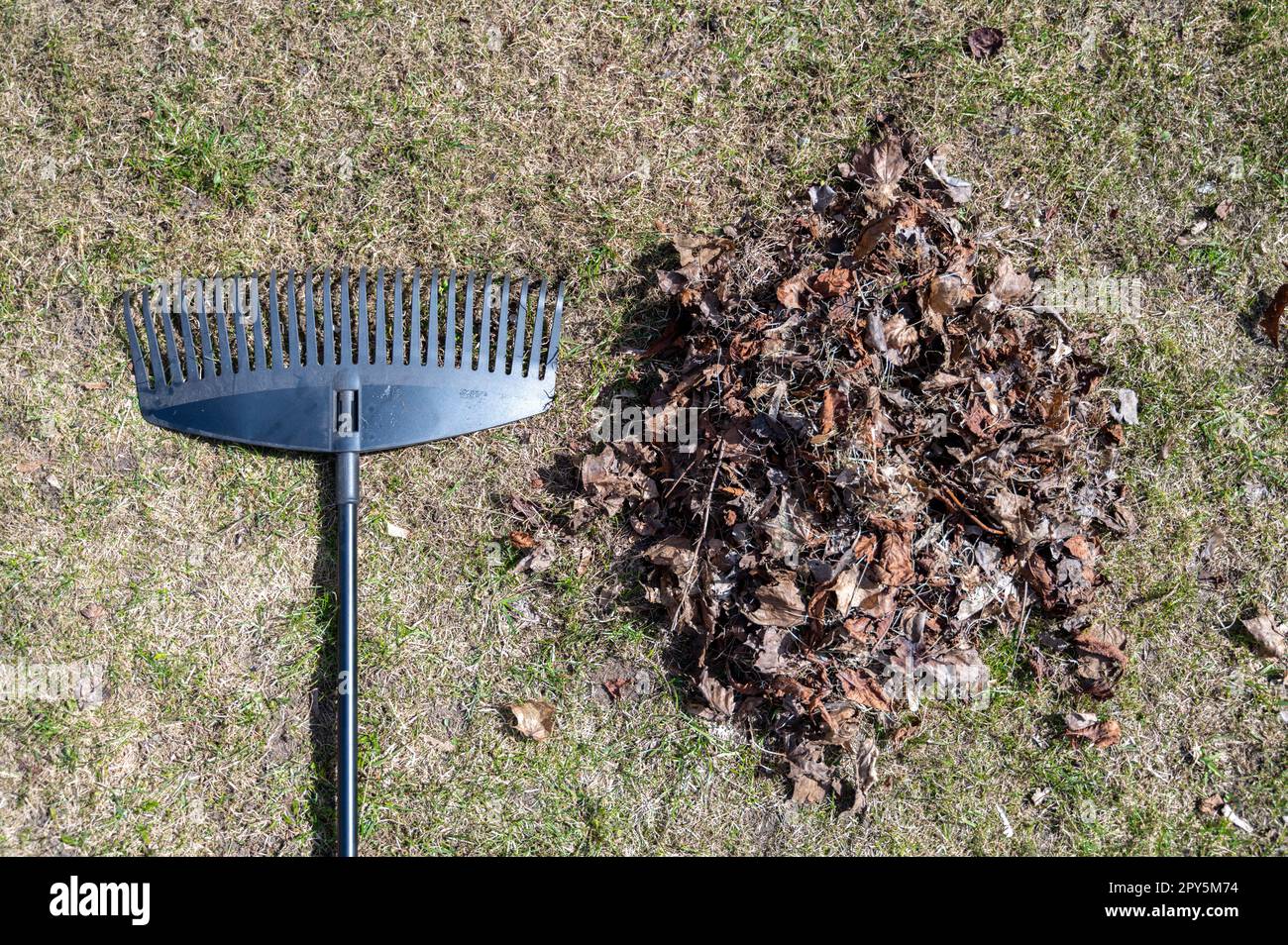 Leaf Rake near heap of dry old leaves on ground Stock Photo Alamy