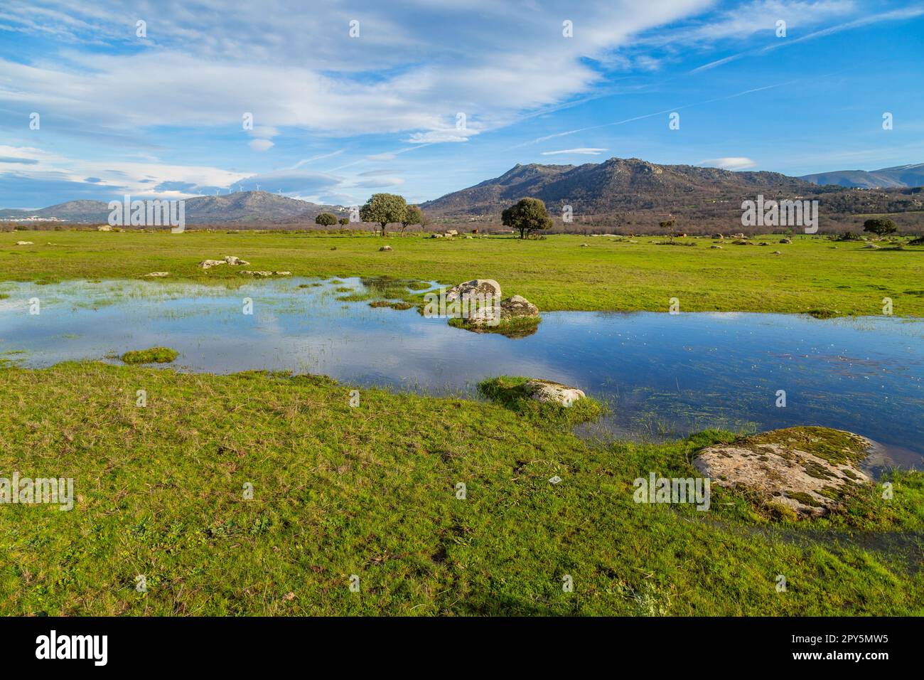 Landscape with trees and lake Stock Photo - Alamy