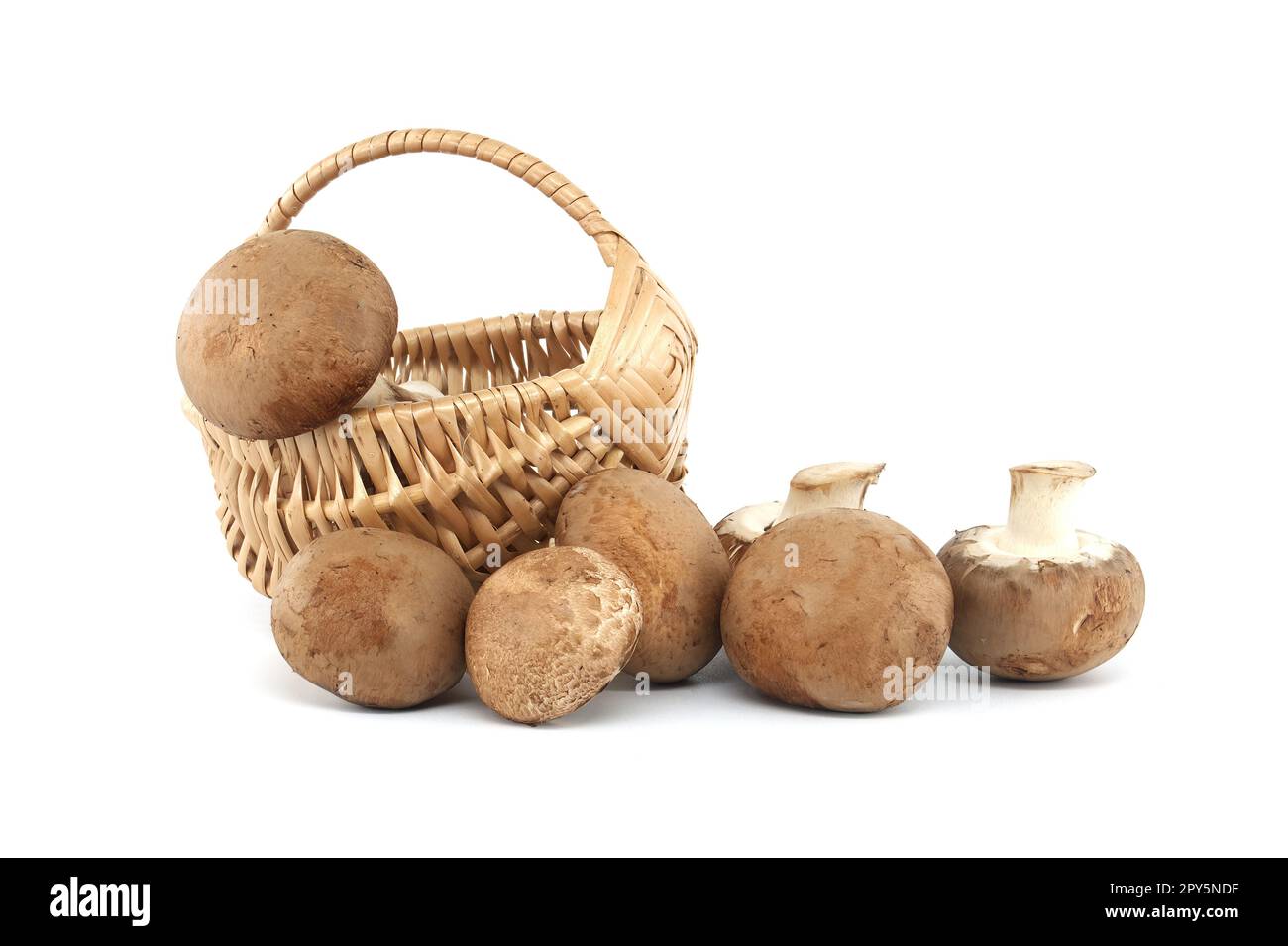 Baby Bella whole mushrooms over white background Stock Photo Alamy
