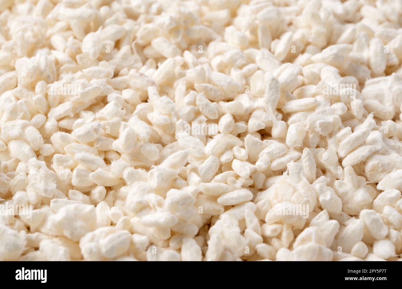 Close-up of rice koji throughout the screen. Stock Photo