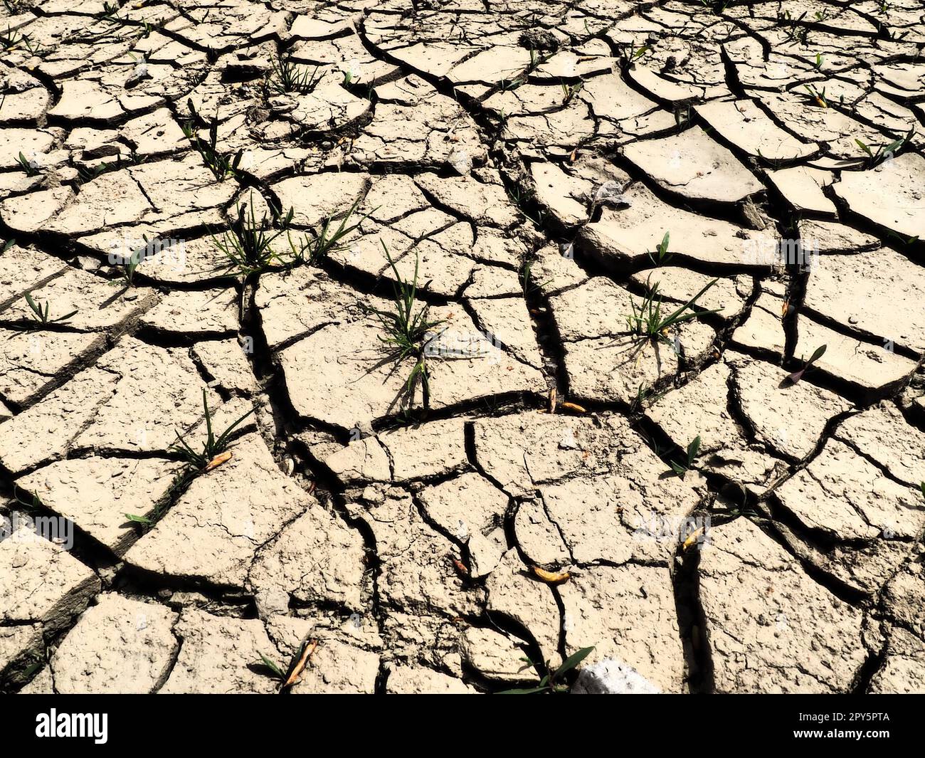 Deep cracks in the land as a symbol of hot climate and drought. Desert and cracked ground. Uneven, swollen ground. Emptiness and death. Ecological and natural theme. Stock Photo