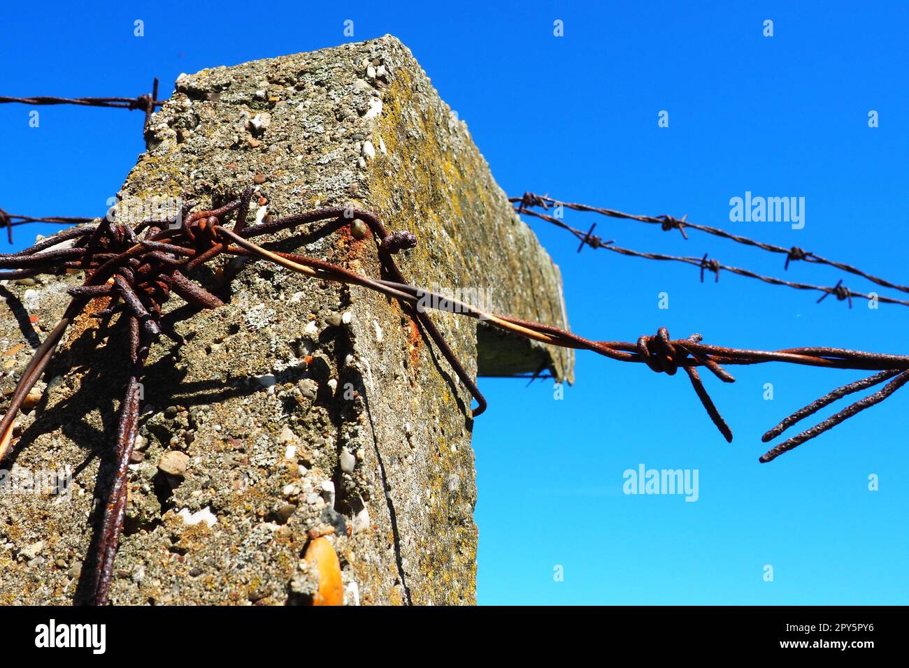 Barbed wire sticks out against the blue sky in Bangalore