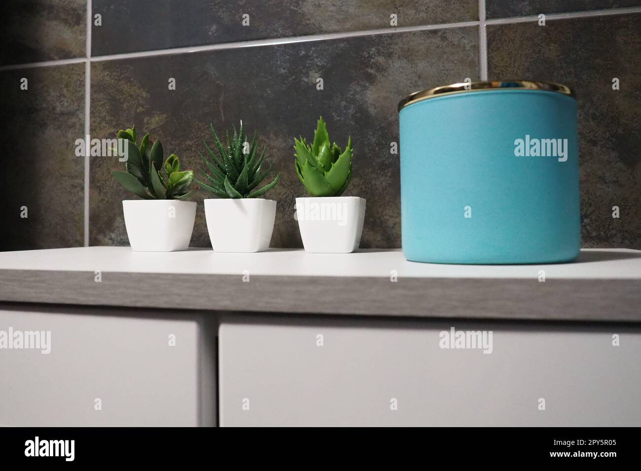 Bathroom decor elements. A blue jar of cream or oil, green artificial plants in small white pots stand on a cabinet shelf. Black wall tiles. Bathroom and toilet interior Stock Photo