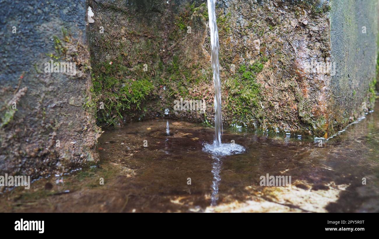 Banja Koviljaca, Serbia, Guchevo, Loznica. Spring Three sources. Healing mineral natural water flowing from Mount Guchevo. Moss and lichens on the rock. Water drops. Stock Photo