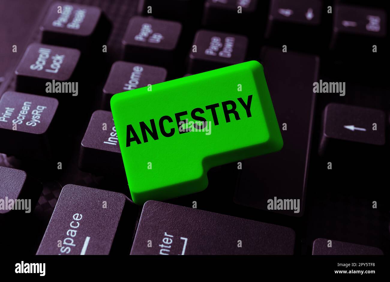 Sign displaying Ancestry. Internet Concept the history or developmental process of a phenomenon object idea or style Stock Photo