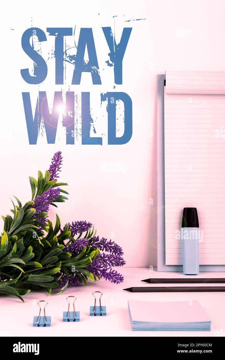 Sign displaying Stay Wild. Concept meaning keep being you and doing what  you're doing Never want to change Stock Photo - Alamy