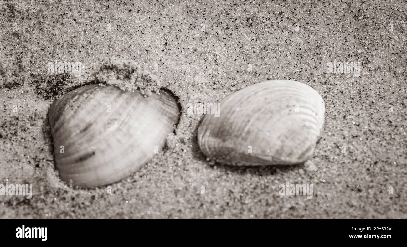 White sand beach brazil hi-res stock photography and images - Alamy