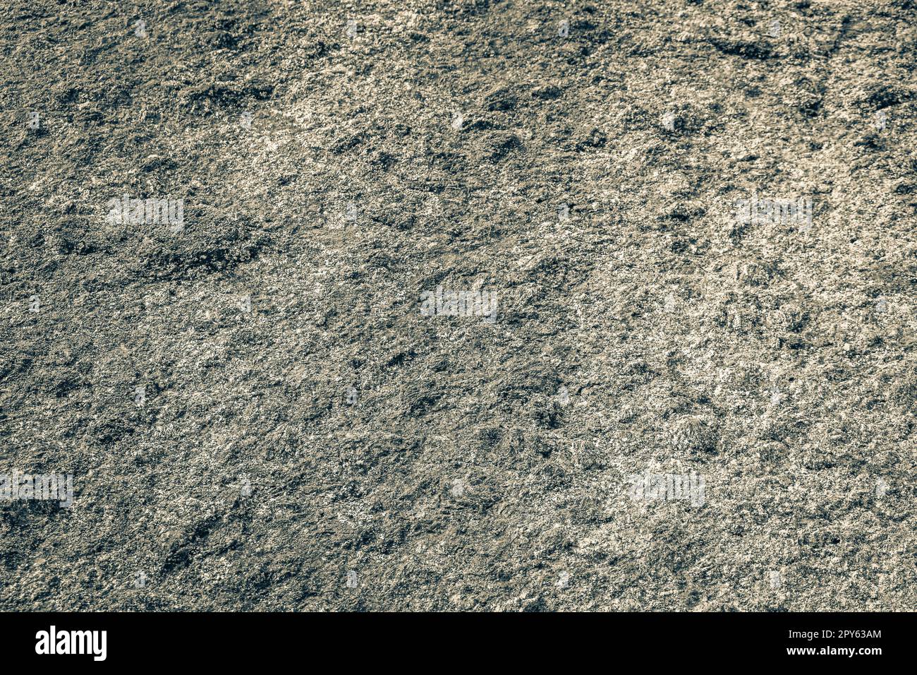 Jungle texture stone rock hi-res stock photography and images - Alamy