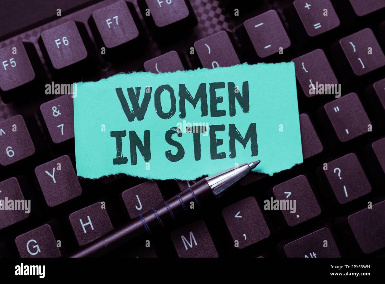 Text sign showing Women In Stem. Concept meaning Science Technology Engineering Mathematics