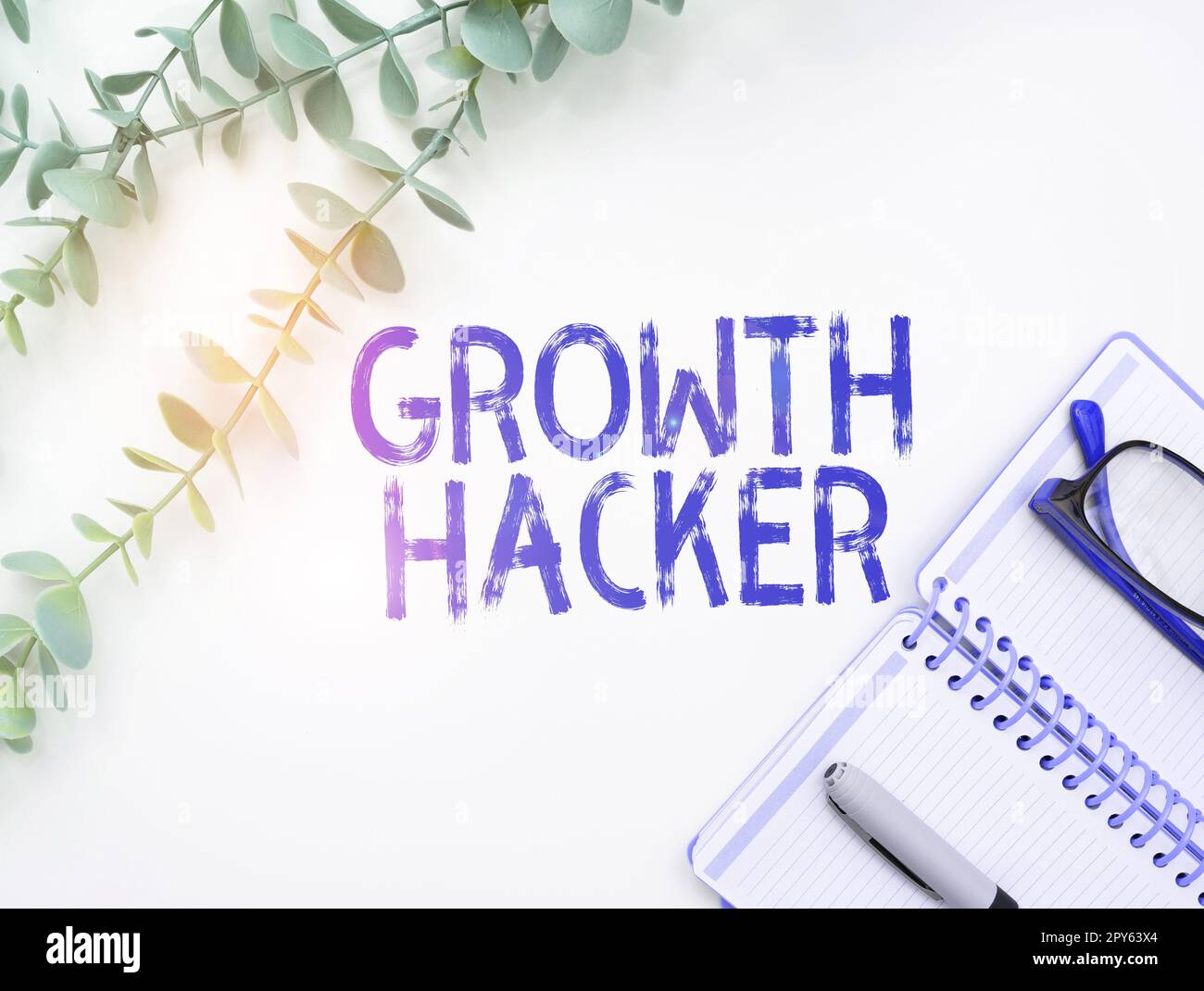 Writing displaying text Growth Hacker. Business concept generally to acquire as many users or customers as possible Stock Photo