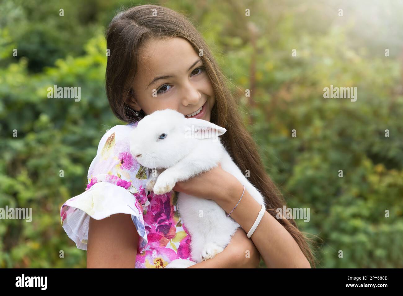 Little girl is holding a white rabbit in her arms . Stock Photo
