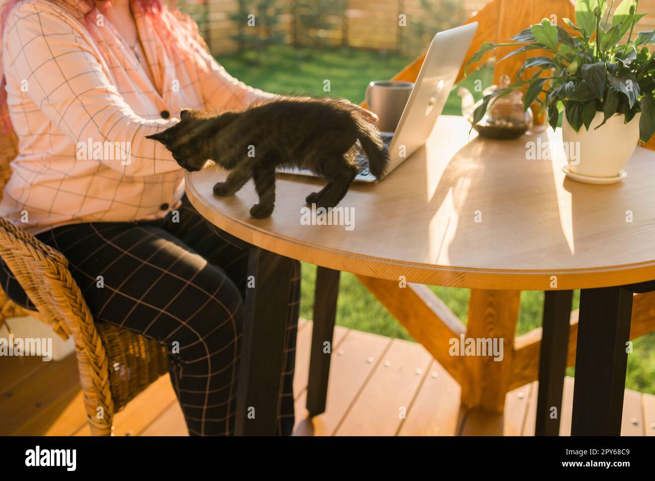 Close up gardener working on hi res stock photography and images Alamy