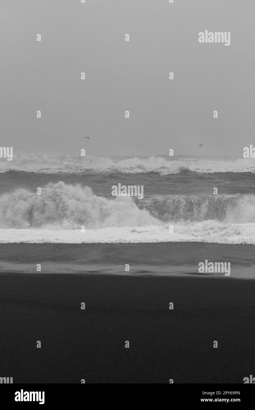 Empty beach on stormy day monochrome landscape photo Stock Photo