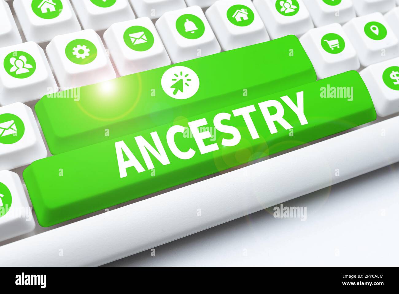 Conceptual display Ancestry. Business overview the history or developmental process of a phenomenon object idea or style Stock Photo