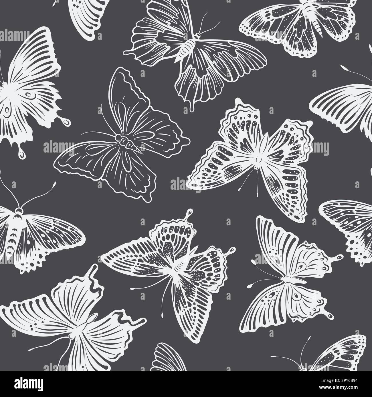Vector Monochrome Black and White Hand Drawn Butterfly Icon Set ...