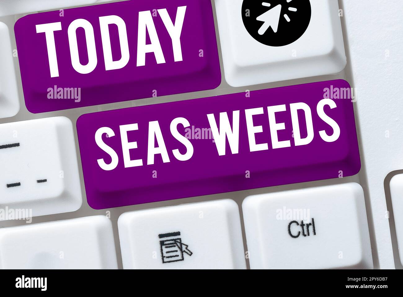 Sign displaying Sea Weeds. Business overview Large algae growing in the sea or ocean Marine plants flora Stock Photo