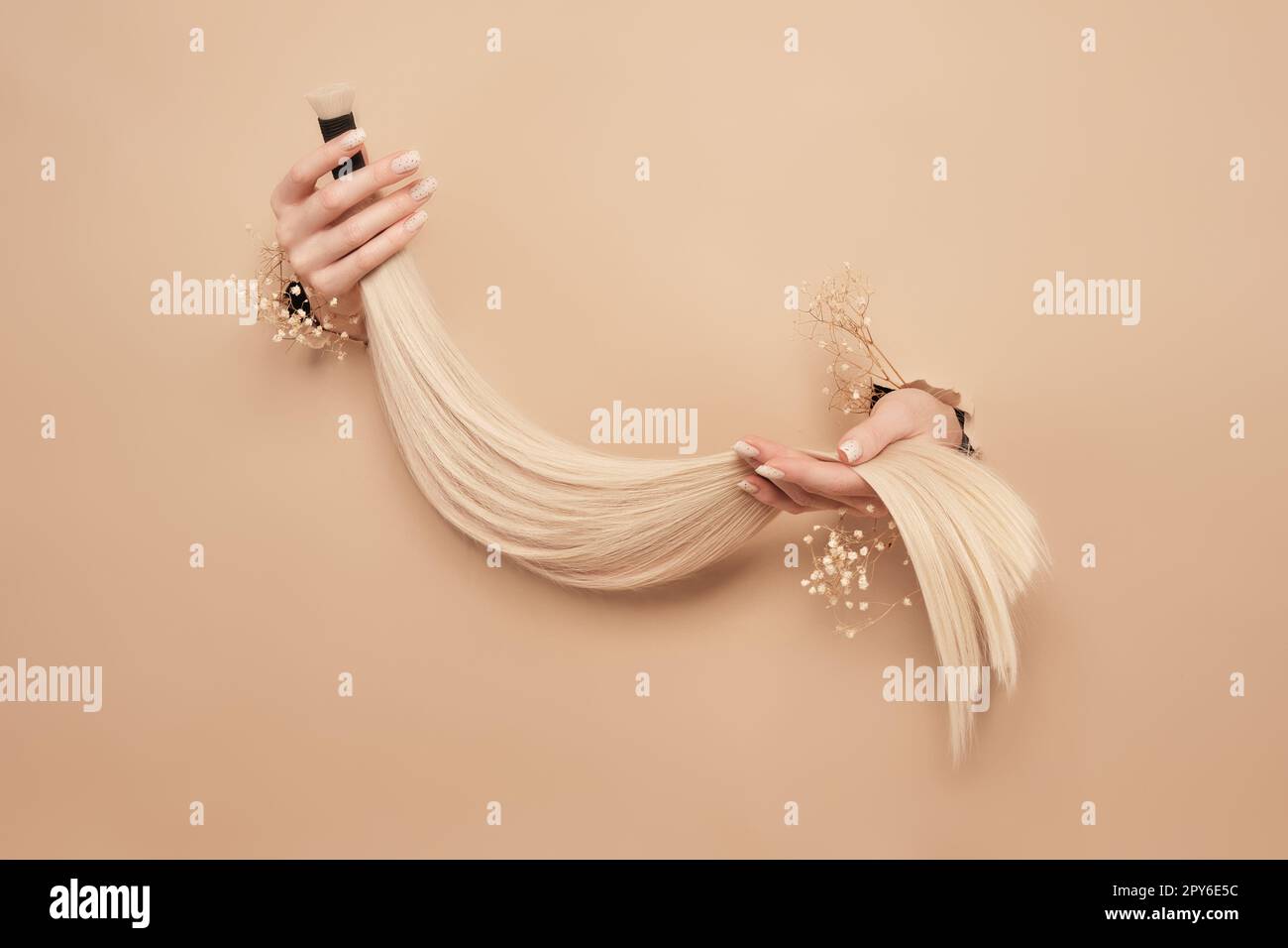 Hands with flowers hold strands of hair for extensions on a beige background. Stock Photo