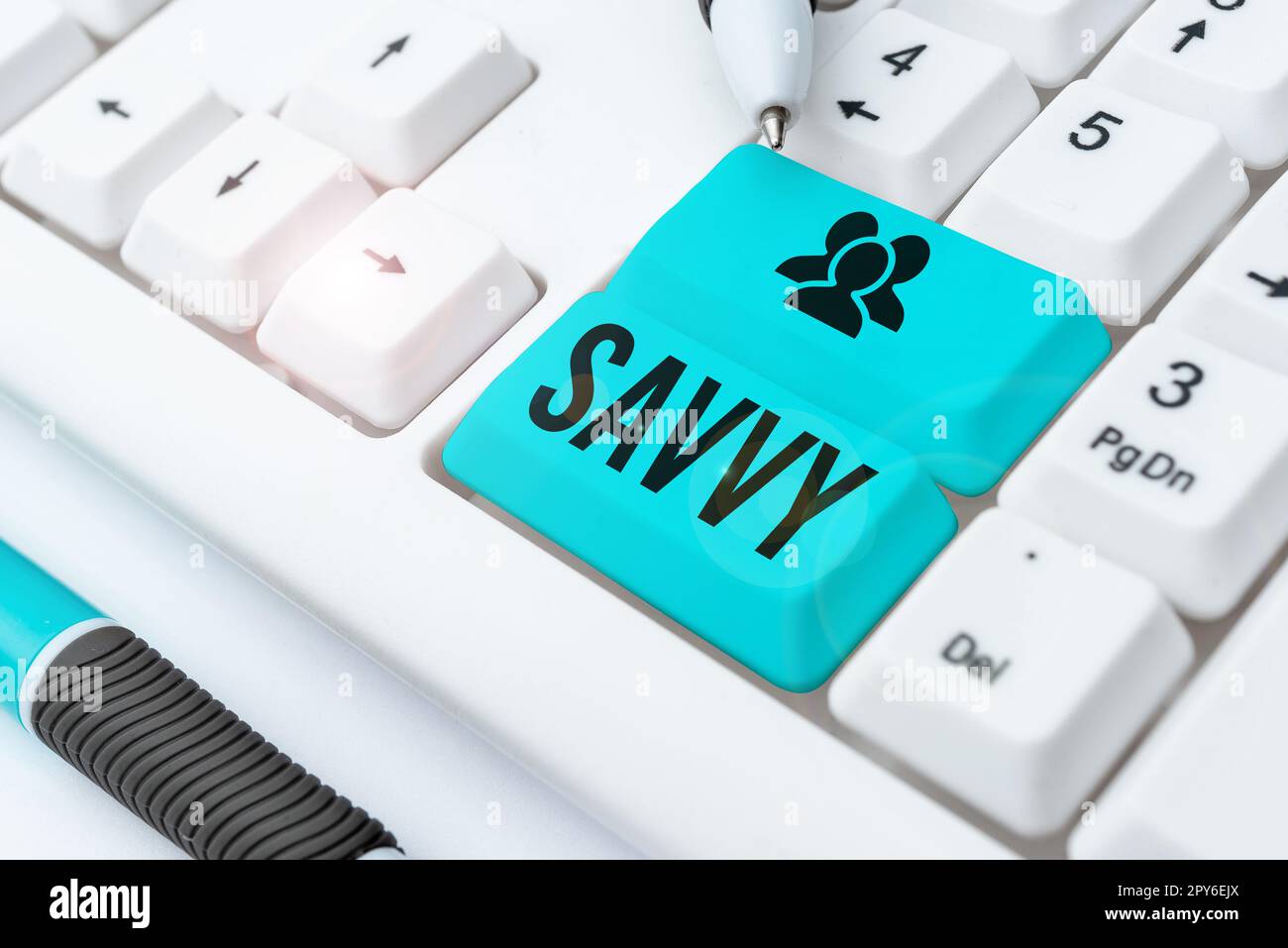 Text sign showing Savvy. Word Written on having perception, comprehension in practical matters Stock Photo