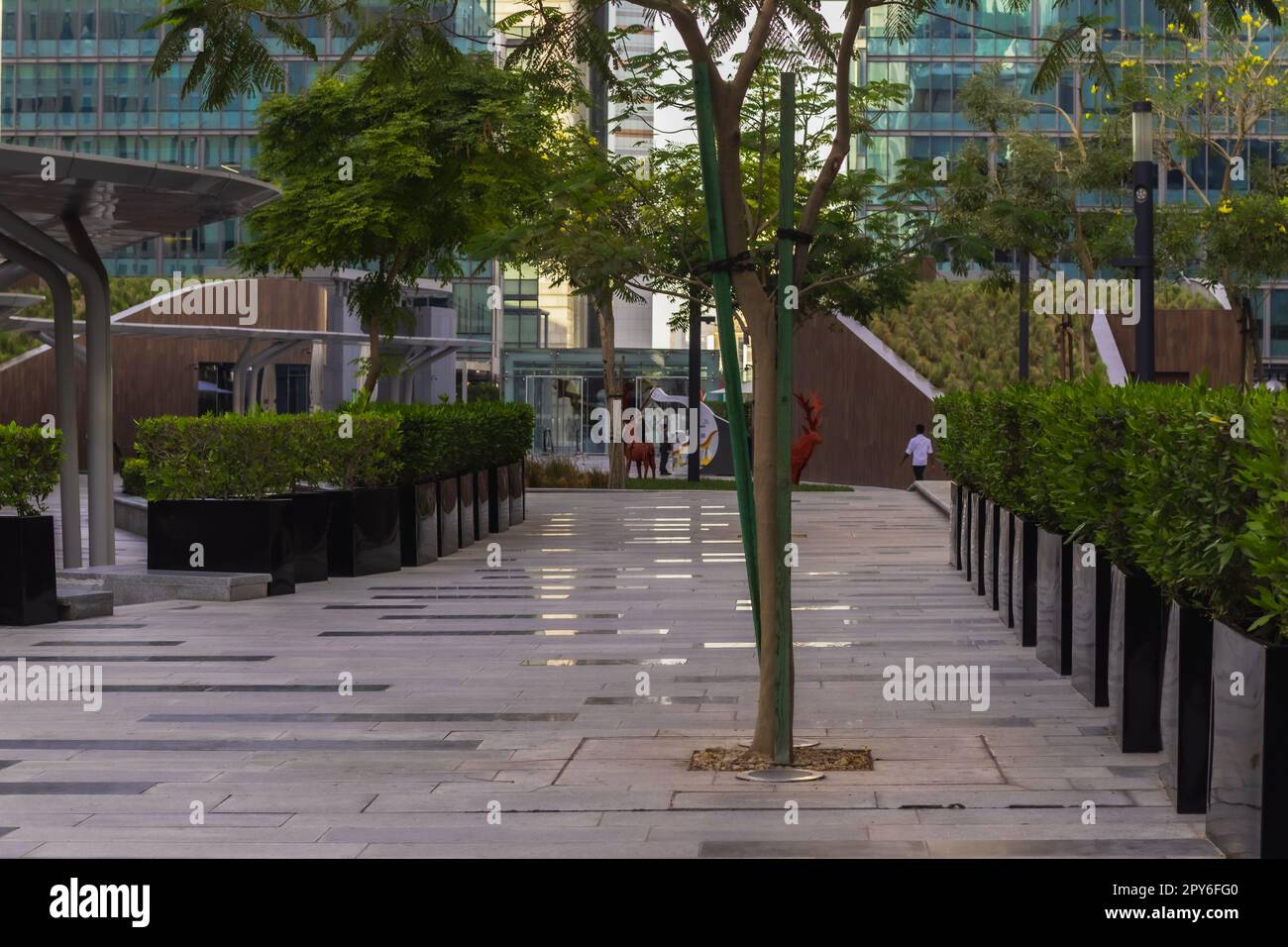 Empty urban park, green lawn and trees in the city Stock Photo - Alamy