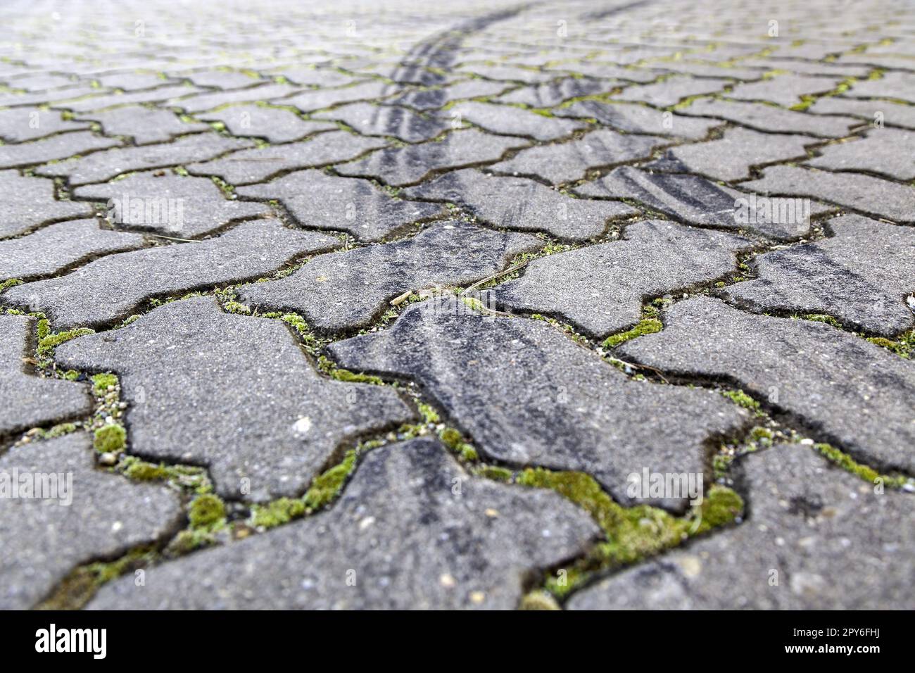Old cobblestones with moss Stock Photo