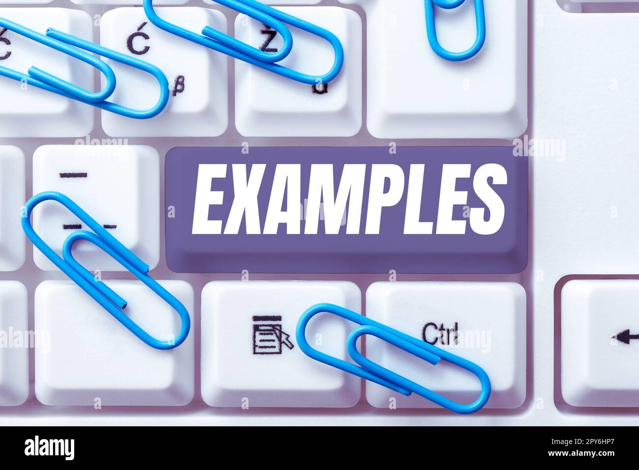 Text sign showing Examples Internet Concept photo Sample Model to