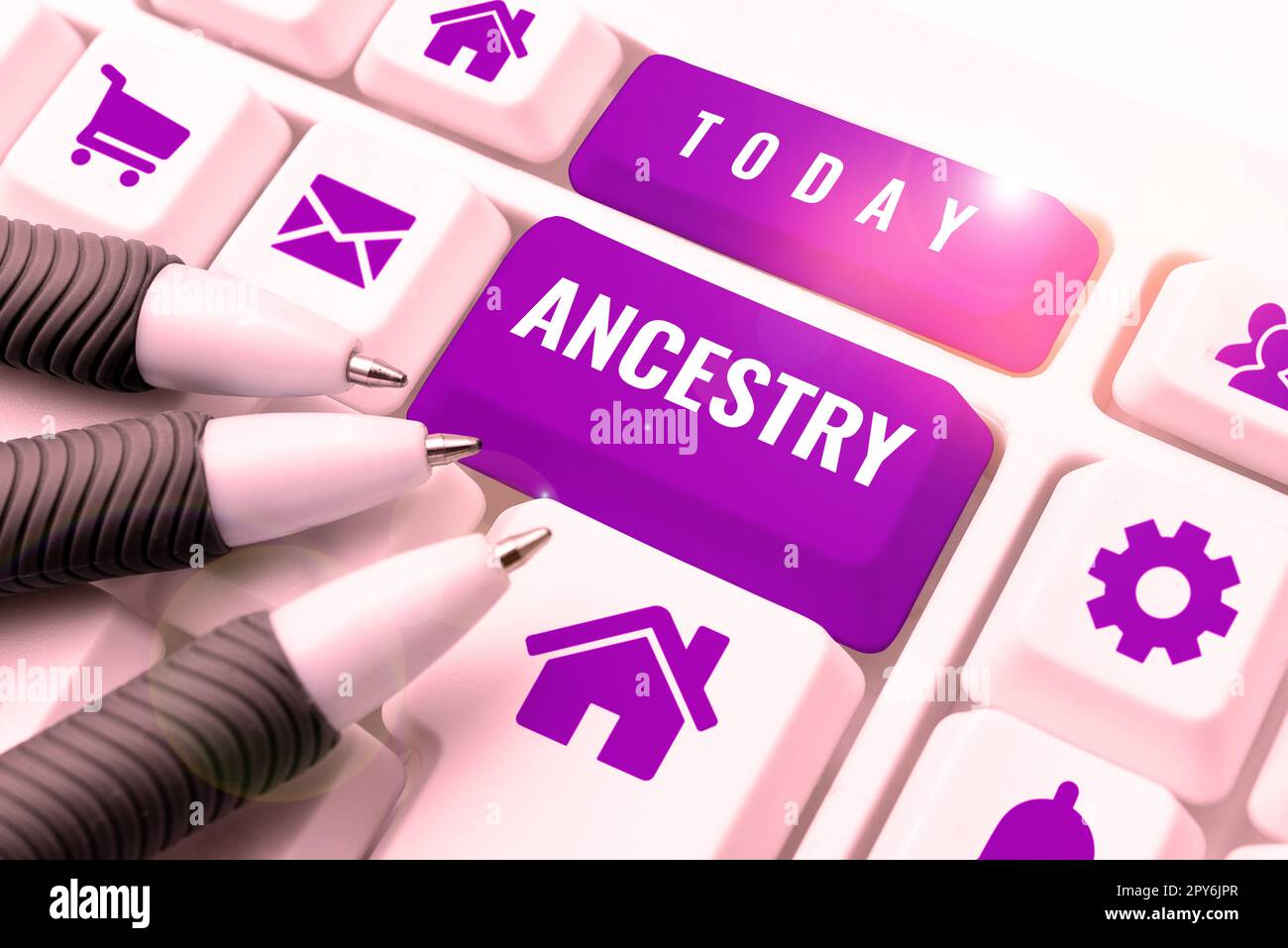 Text sign showing Ancestry. Word for the history or developmental process of a phenomenon object idea or style Stock Photo