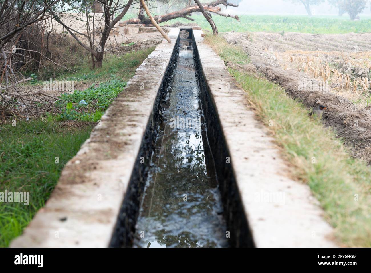 Water canal for crop field irrigation system in the village Stock Photo ...