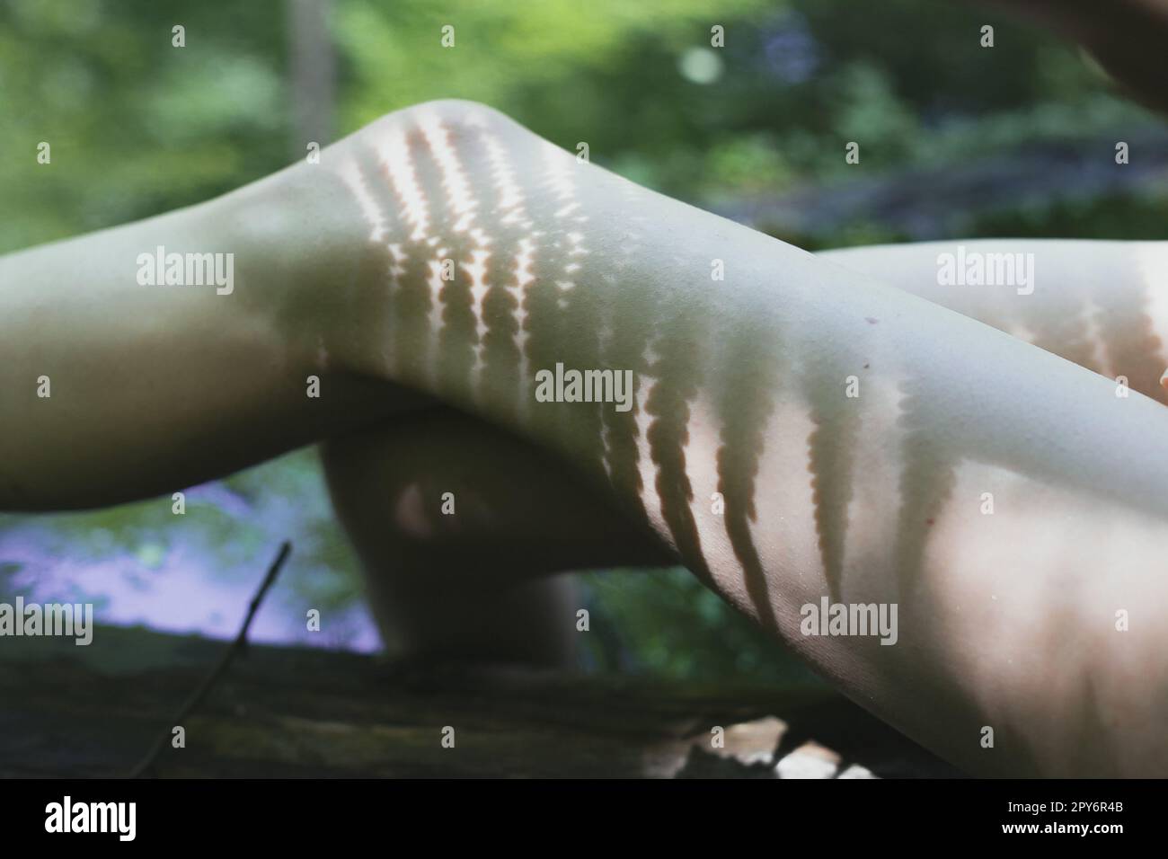 Close up female legs with plants shadow concept photo Stock Photo