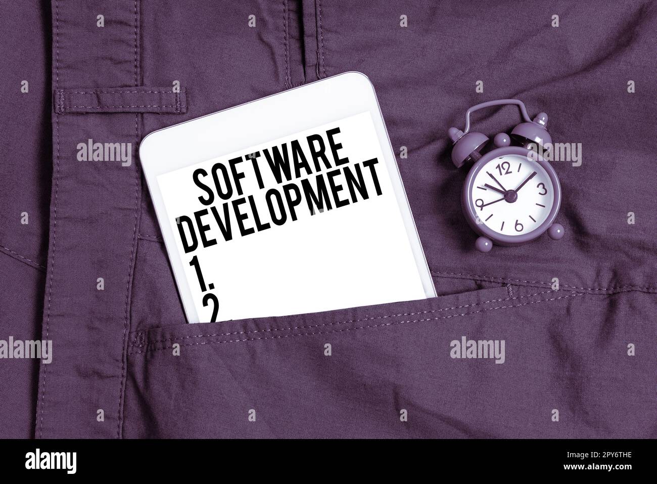 Hand writing sign Software Development. Business overview software is ...