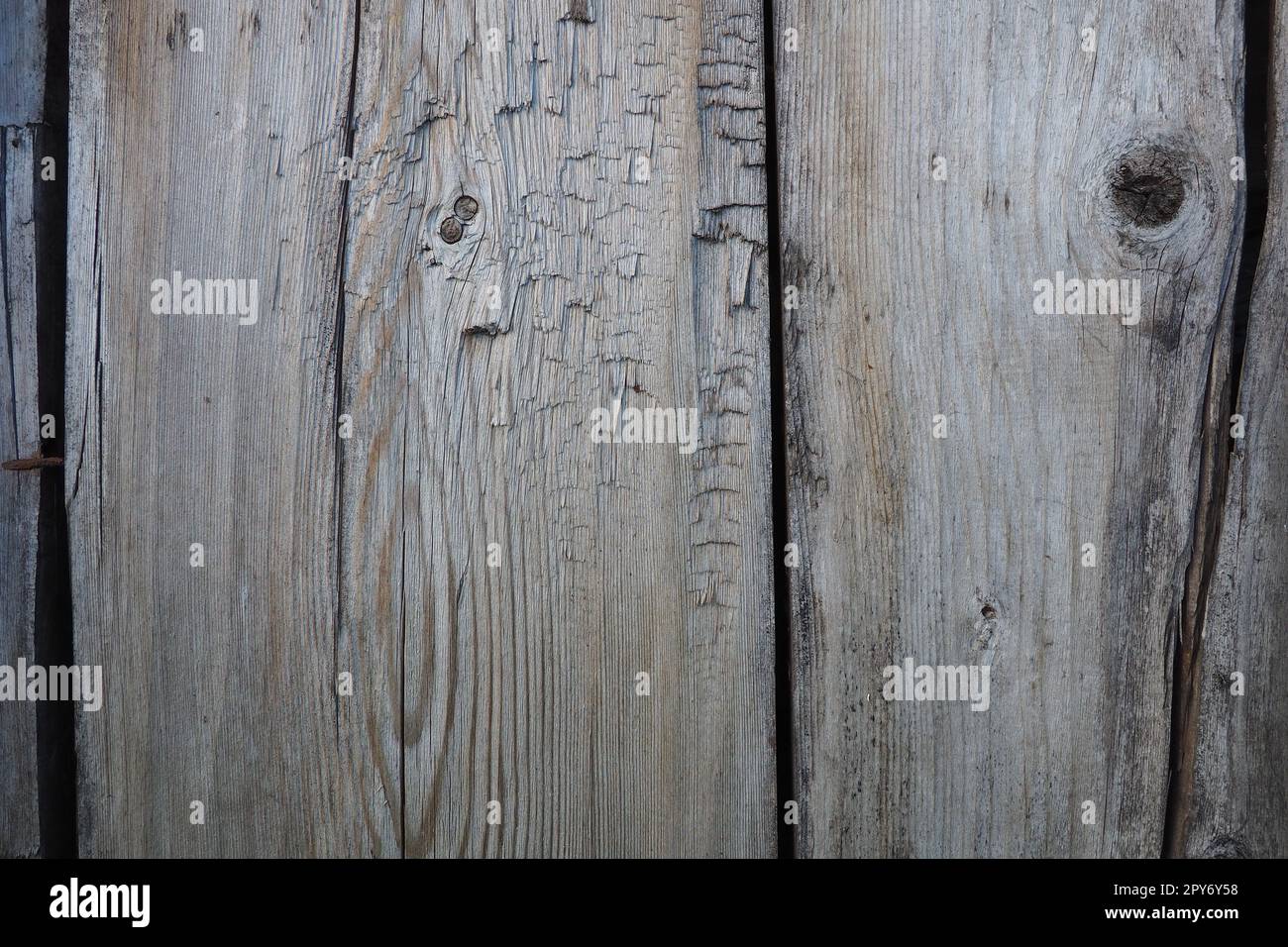 Vertical boards background. Gray brown old wood with knots. Board wall. Country style Stock Photo