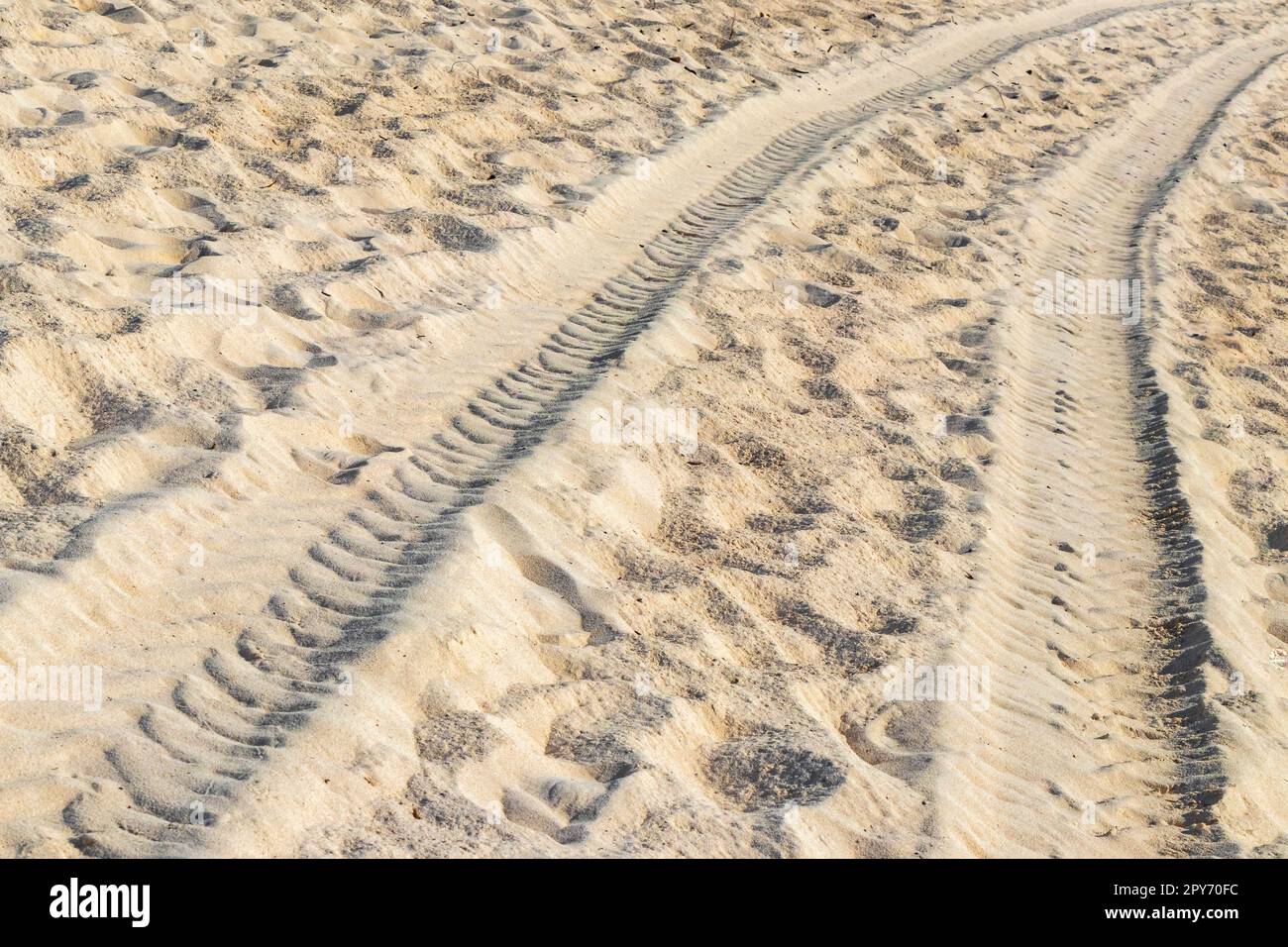 Ruts of an excavator in the beach sand in Mexico. Stock Photo