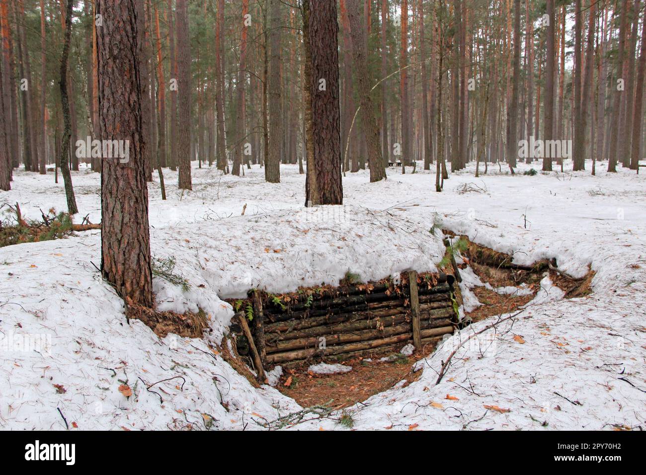 Earth-house built by Soviet partisans in Ukrainian forest while Secont World War Stock Photo