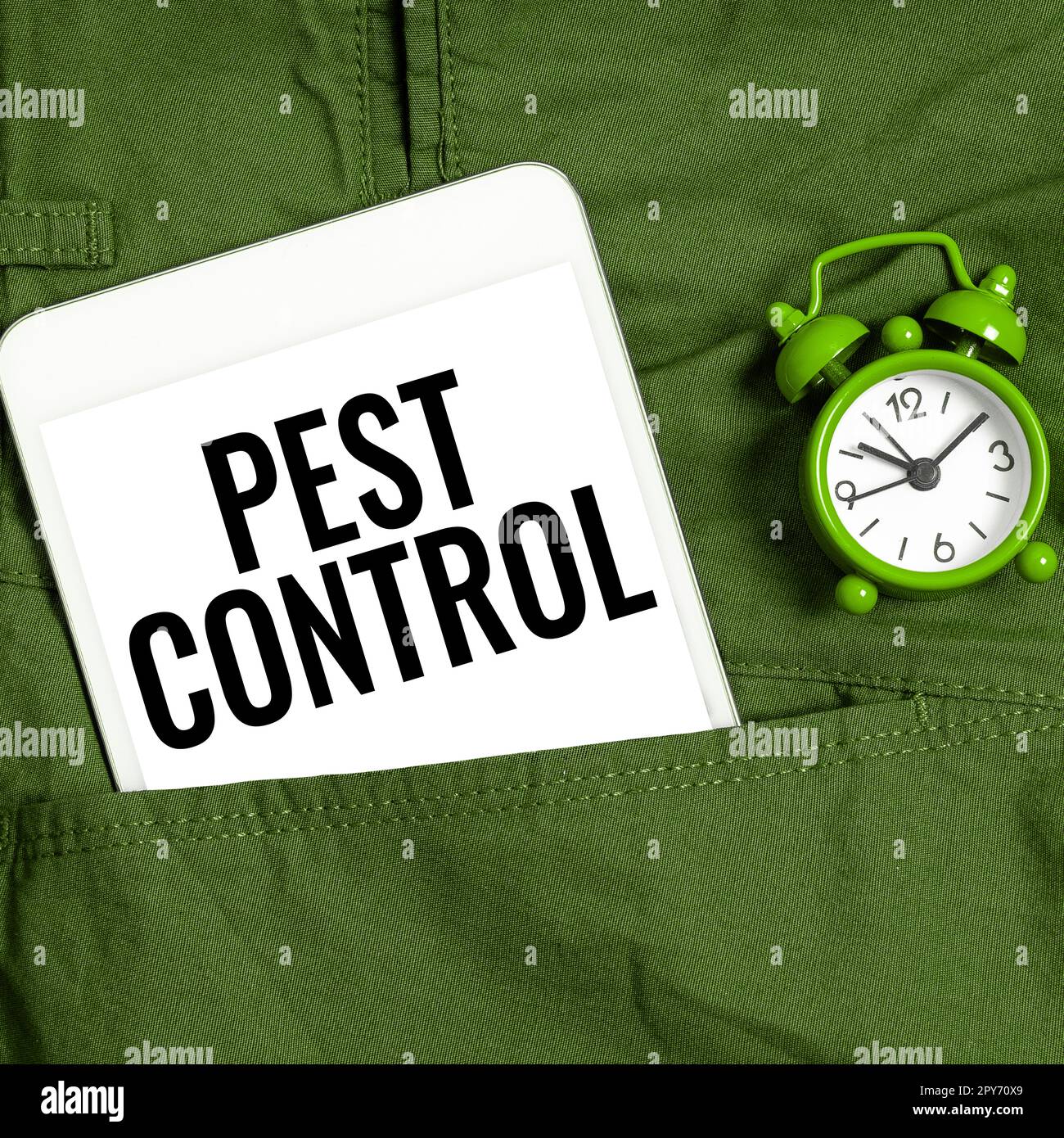 Hand writing sign Pest Control. Word Written on Killing destructive ...