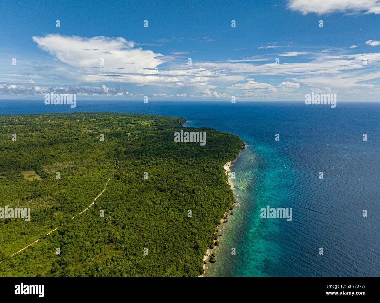 Tropical beach with crystal clear water in the tropics. Turquoise lagoon surface on atoll and coral reef. Siquijor, Philippines. Stock Photo