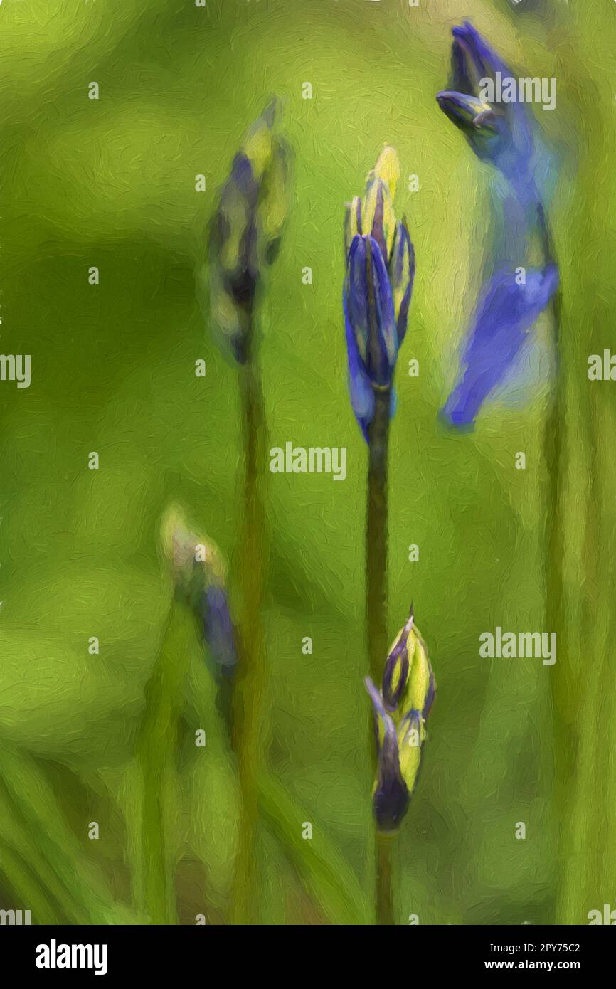 A digital oil painting of purple bluebell flowers in a magical